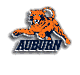 Tigers