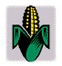 Corn is Good