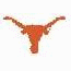 Hook em